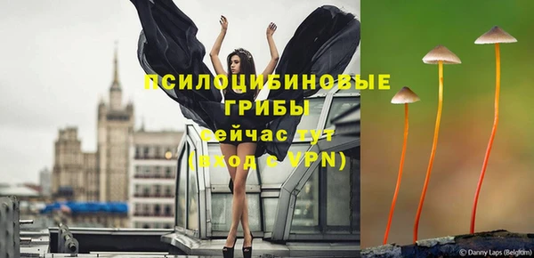 apvp Балабаново