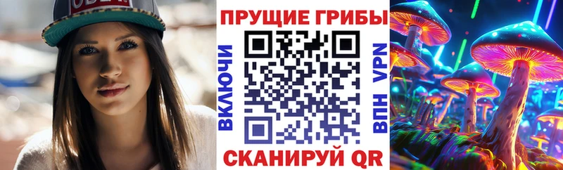 купить наркоту Губаха гидра ТОР Псилоцибиновые грибы Psilocybe