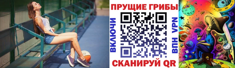 Псилоцибиновые грибы Psilocybine cubensis Губаха