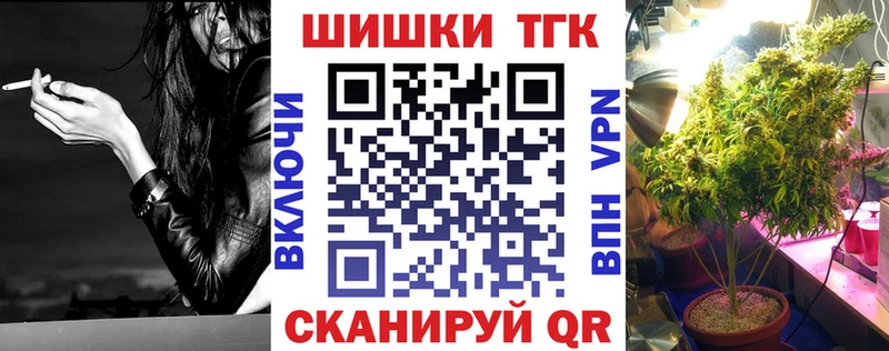 где можно купить   Губаха  Каннабис план 